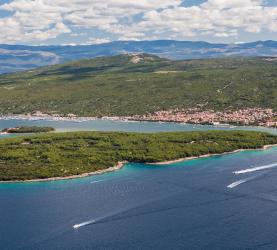 punat